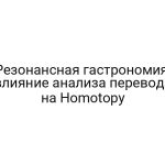 Резонансная гастрономия: влияние анализа перевода на Homotopy
